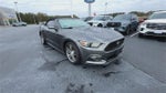2015 Mustang Thumbnail 2