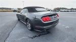 2015 Mustang Thumbnail 6