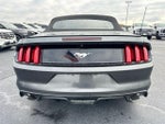 2015 Mustang Thumbnail 24