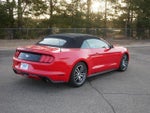 2015 Mustang Thumbnail 5