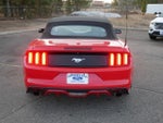 2015 Mustang Thumbnail 6
