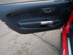 2015 Mustang Thumbnail 11