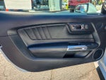 2015 Mustang Thumbnail 18