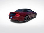 2016 Mustang Thumbnail 5