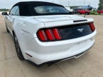 2016 Mustang Thumbnail 10