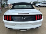 2016 Mustang Thumbnail 11