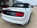 2016 Mustang Thumbnail 12