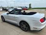 2016 Mustang Thumbnail 28