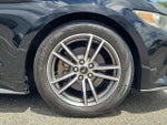 2017 Mustang Thumbnail 6