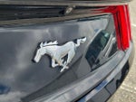 2017 Mustang Thumbnail 14
