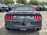 2017 Mustang Thumbnail 15