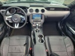 2017 Mustang Thumbnail 18
