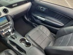 2017 Mustang Thumbnail 19