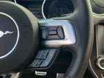 2017 Mustang Thumbnail 33