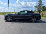 2018 Mustang Thumbnail 7