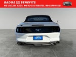 2019 Mustang Thumbnail 7