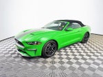 2019 Mustang Thumbnail 3