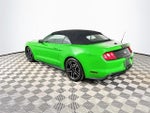 2019 Mustang Thumbnail 5