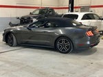 2019 Mustang Thumbnail 2