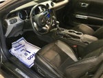 2019 Mustang Thumbnail 3
