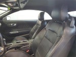 2019 Mustang Thumbnail 10