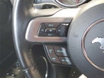 2019 Mustang Thumbnail 14