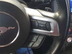 2019 Mustang Thumbnail 15