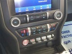 2019 Mustang Thumbnail 21