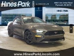 2019 Mustang Thumbnail 1