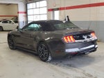 2019 Mustang Thumbnail 3