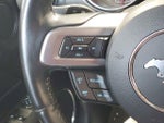 2019 Mustang Thumbnail 14