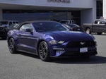 2019 Mustang Thumbnail 1
