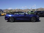 2019 Mustang Thumbnail 2