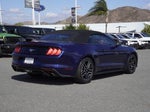 2019 Mustang Thumbnail 3