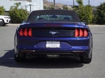 2019 Mustang Thumbnail 4