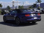 2019 Mustang Thumbnail 5