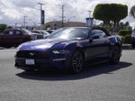 2019 Mustang Thumbnail 7