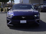 2019 Mustang Thumbnail 8