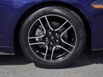 2019 Mustang Thumbnail 9
