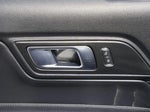 2019 Mustang Thumbnail 10