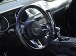 2019 Mustang Thumbnail 22