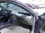 2019 Mustang Thumbnail 24