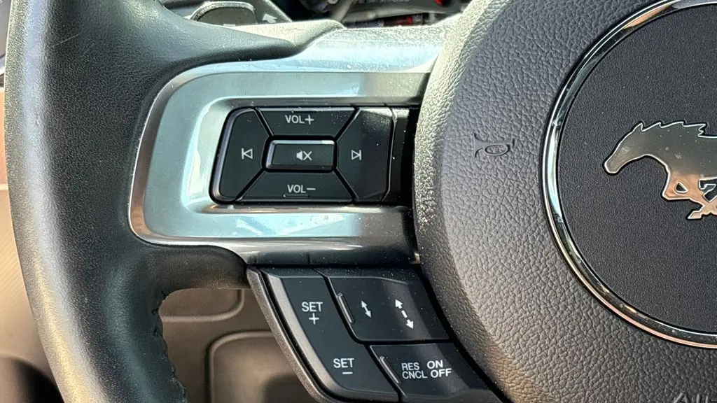 2019 Ford Mustang EcoBoost