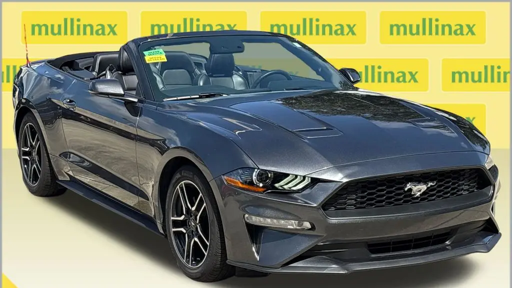 Preowned 2019 Ford Mustang EcoBoost for Sale