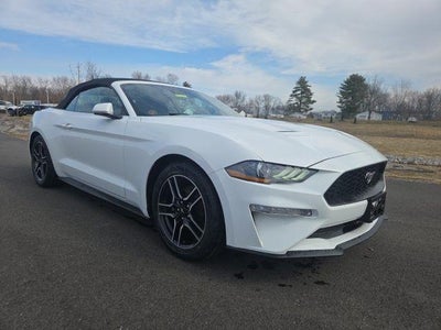 2023 Ford Mustang Ecoboost Premium 2DR Convertible