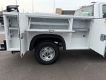 2025 F-250 Super Duty Thumbnail 15
