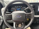 2025 F-250 Super Duty Thumbnail 18