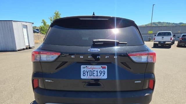 2021 Ford Escape Hybrid SEL