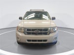 2010 Escape Thumbnail 8