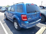 2010 Escape Thumbnail 4